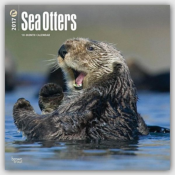 Sea Otters - Seeotter 2017 - 18-Monatskalender