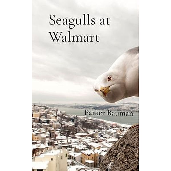 Seagulls at Walmart, Parker Bauman, Tbd