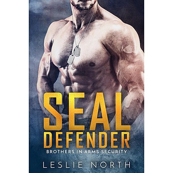 SEAL Defender (Brothers In Arms, #1) / Brothers In Arms, Leslie North