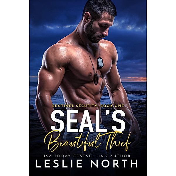 SEAL's Beautiful Thief (Sentinel Security, #1) / Sentinel Security, Leslie North