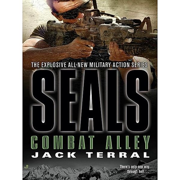 Seals: Combat Alley / A Seals Novel Bd.6, Jack Terral