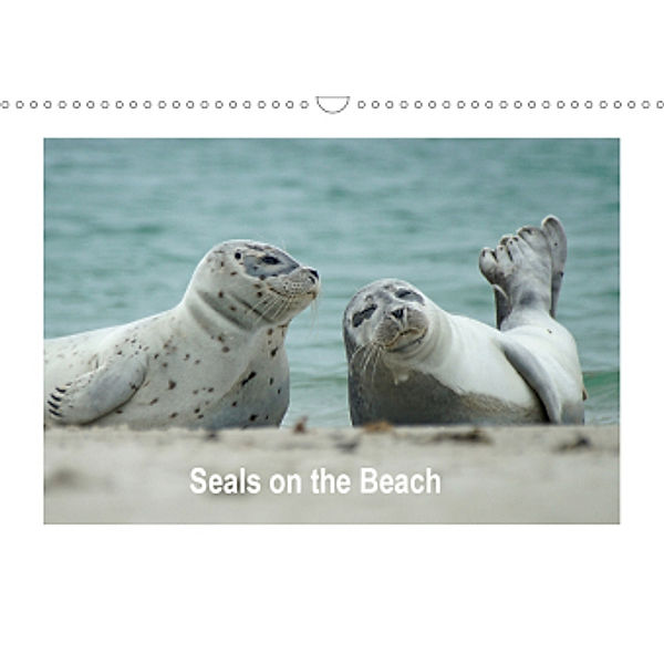 Seals on the Beach (Wall Calendar 2021 DIN A3 Landscape), Martina Fornal