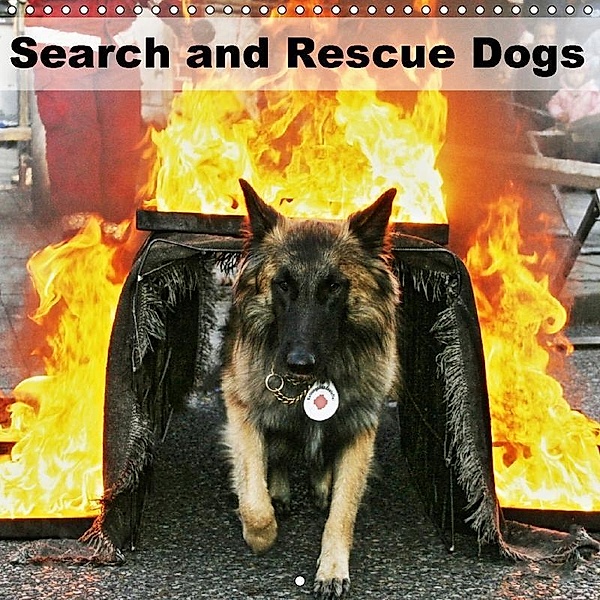 Search and Rescue Dogs (Wall Calendar 2017 300 × 300 mm Square), Ulf Mirlieb