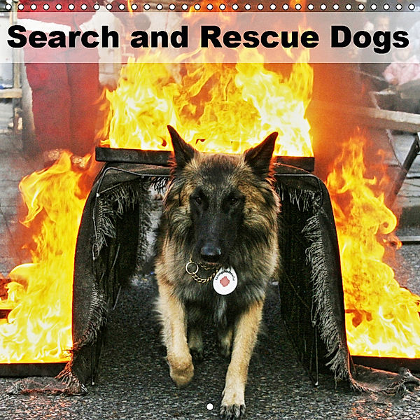 Search and Rescue Dogs (Wall Calendar 2019 300 × 300 mm Square), Ulf Mirlieb