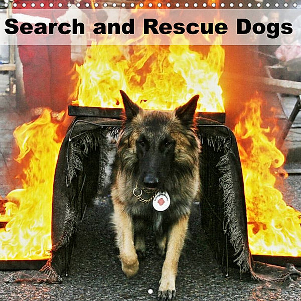 Search and Rescue Dogs (Wall Calendar 2023 300 × 300 mm Square), Ulf Mirlieb