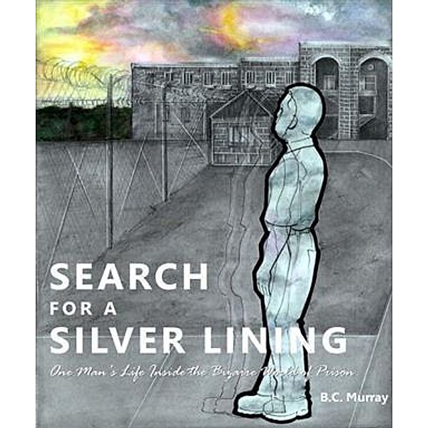 Search for a Silver Lining, B. C. Murray