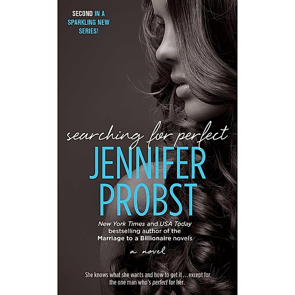 Searching for Perfect, Jennifer Probst