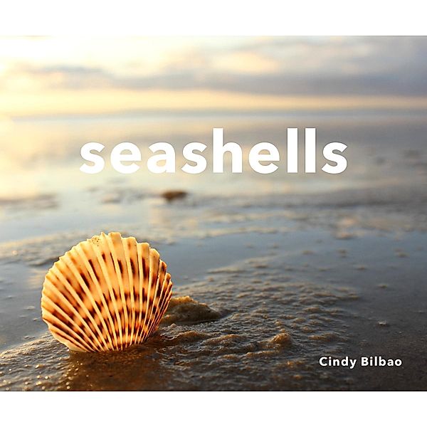 Seashells, Cindy Bilbao