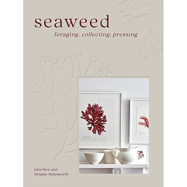 Seaweed, Melanie Molesworth, Julia Bird