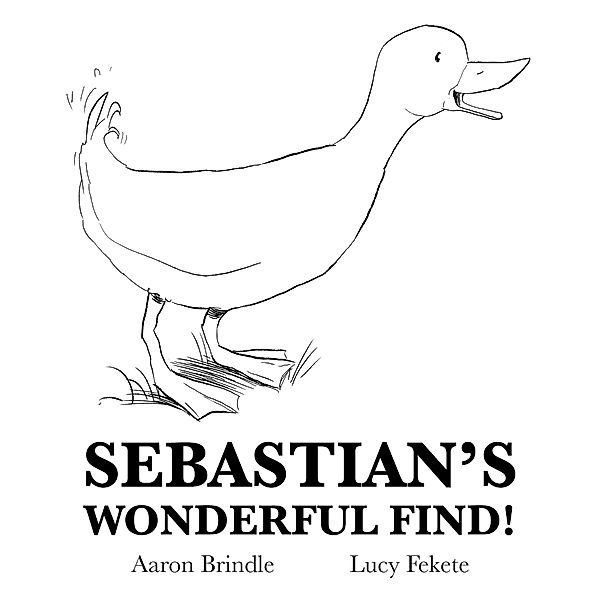 Sebastian's Wonderful Find!, Aaron Brindle