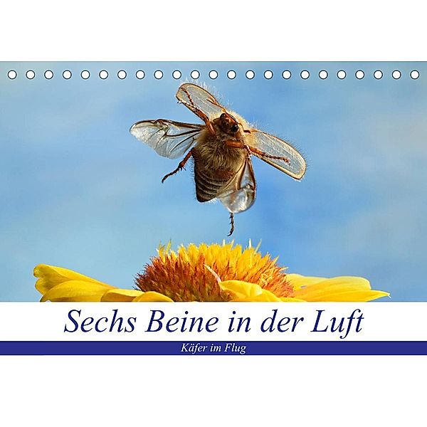 Sechs Beine in der Luft - Käfer im Flug (Tischkalender 2023 DIN A5 quer), André Skonieczny