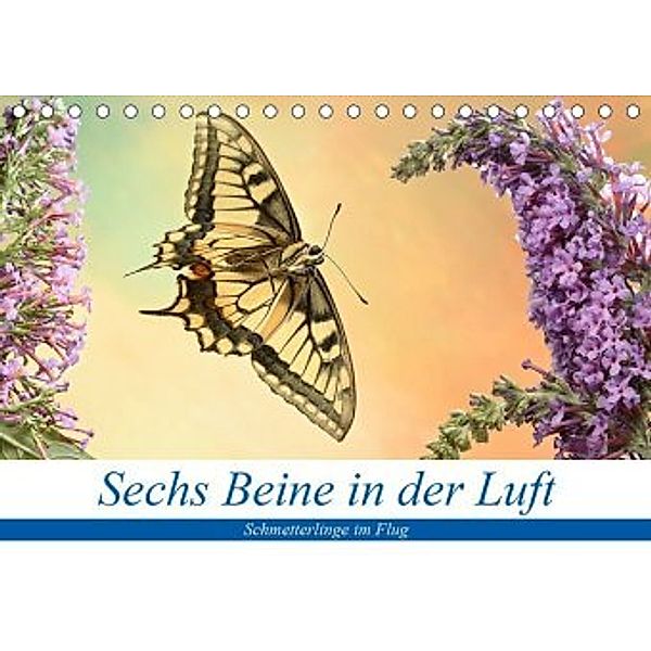 Sechs Beine in der Luft - Schmetterlinge im Flug (Tischkalender 2020 DIN A5 quer), André Skonieczny