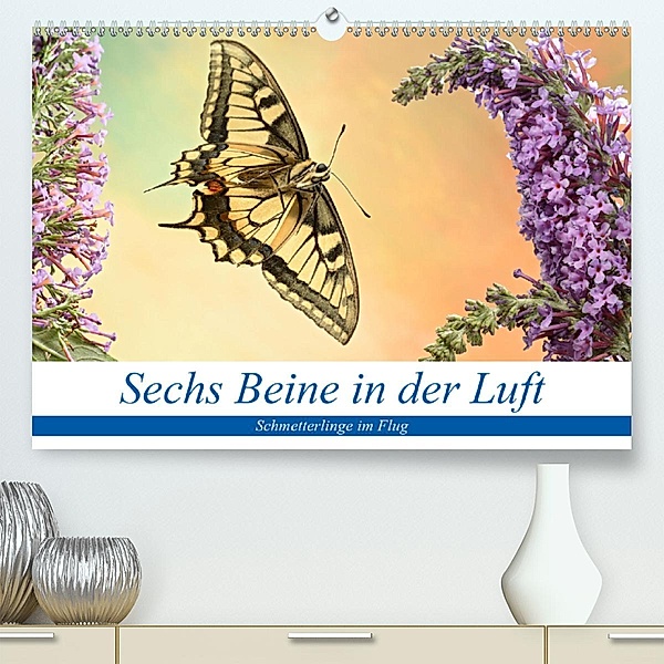 Sechs Beine in der Luft - Schmetterlinge im Flug (Premium-Kalender 2020 DIN A2 quer), André Skonieczny