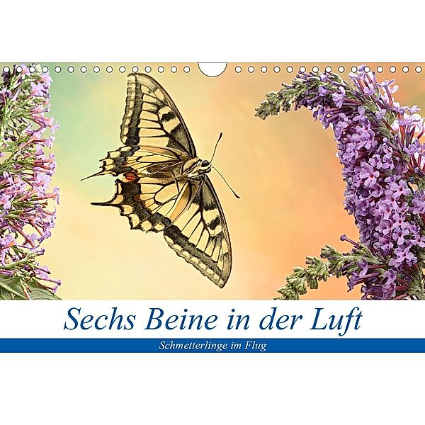 Sechs Beine in der Luft - Schmetterlinge im Flug (Wandkalender 2021 DIN A4 quer), André Skonieczny