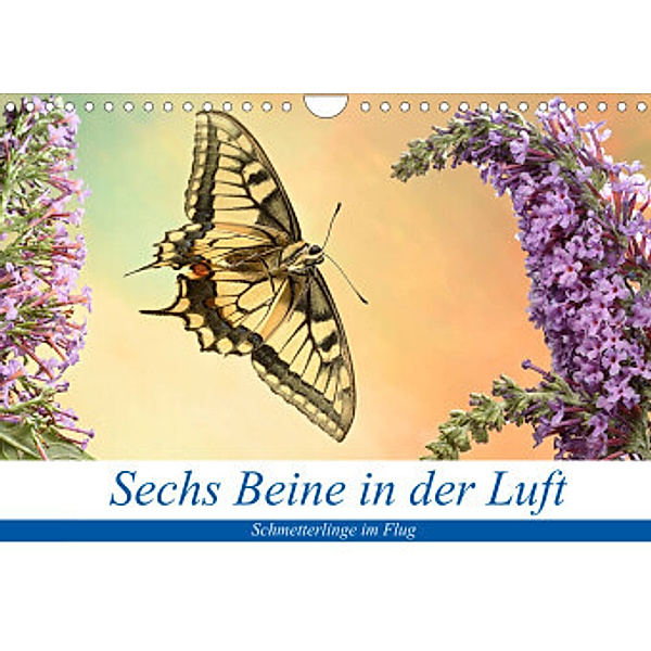 Sechs Beine in der Luft - Schmetterlinge im Flug (Wandkalender 2022 DIN A4 quer), André Skonieczny