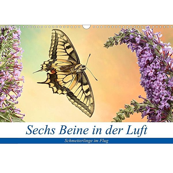 Sechs Beine in der Luft - Schmetterlinge im Flug (Wandkalender 2023 DIN A3 quer), André Skonieczny