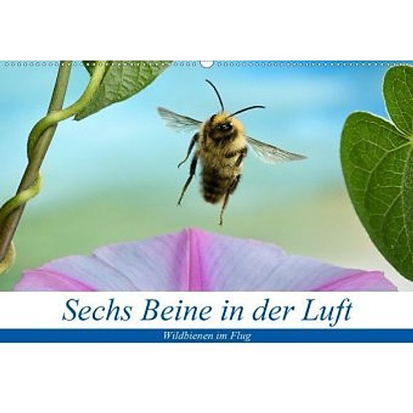 Sechs Beine in der Luft - Wildbienen im Flug (Wandkalender 2020 DIN A2 quer), André Skonieczny