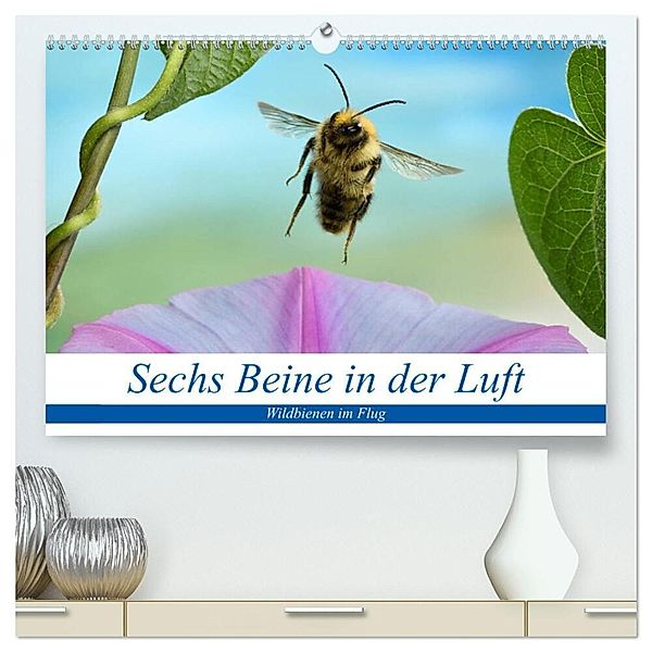 Sechs Beine in der Luft - Wildbienen im Flug (hochwertiger Premium Wandkalender 2025 DIN A2 quer), Kunstdruck in Hochglanz, Calvendo, André Skonieczny