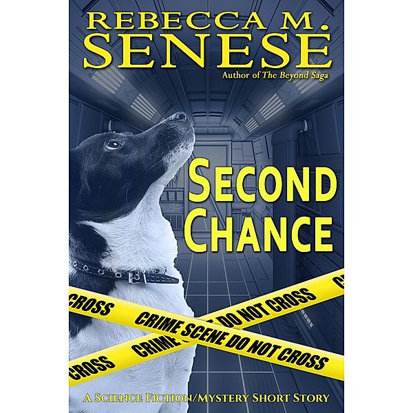 Second Chance, Rebecca M. Senese