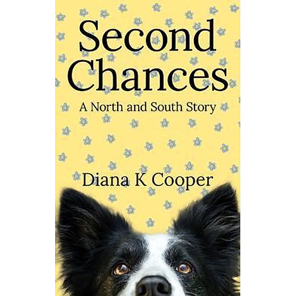 Second Chances, Diana K Cooper