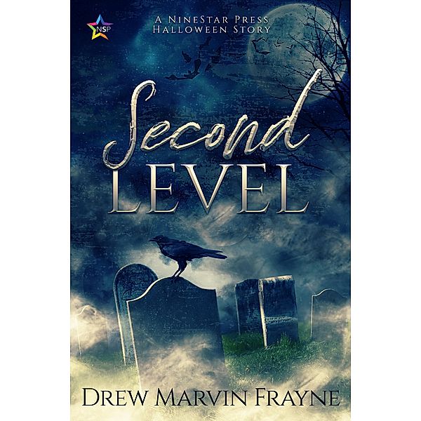 Second Level, Drew Marvin Frayne