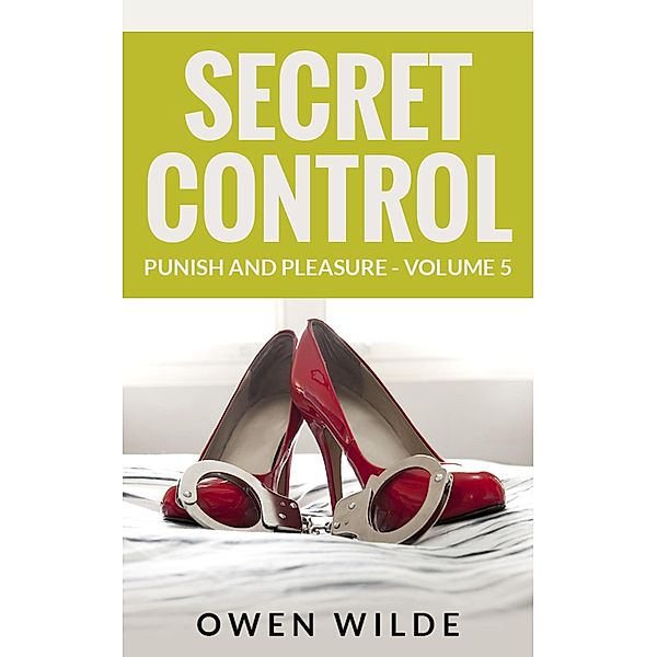 Secret Control (Punish and Pleasure - Volume 5) / Punish and Pleasure, Owen Wilde