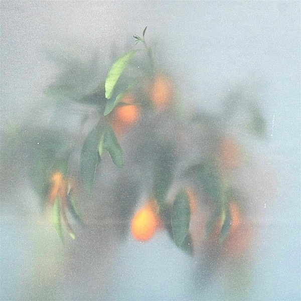 Secret Garden (Green Vinyl), µ-ZIQ & MRS JYNX