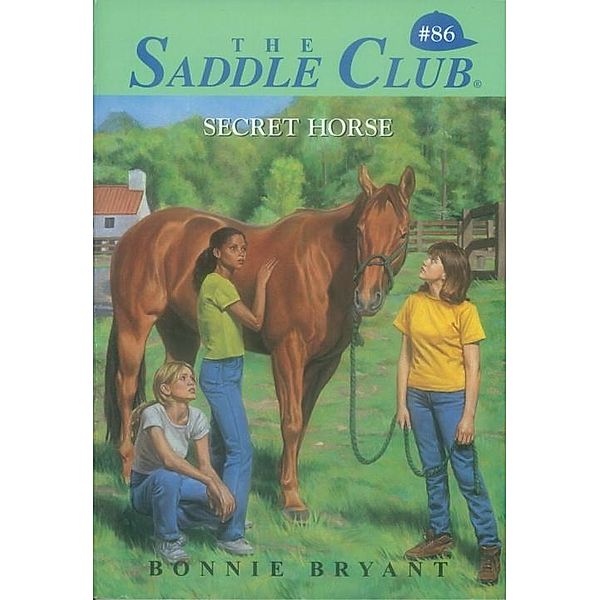 Secret Horse / Saddle Club Bd.86, Bonnie Bryant