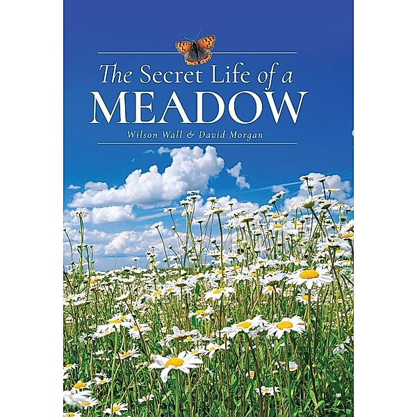 Secret Life of a Meadow, Wall Wilson Wall, Morgan David Morgan