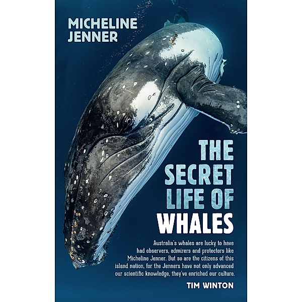 Secret Life of Whales, Micheline Jenner