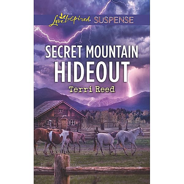 Secret Mountain Hideout (Mills & Boon Love Inspired Suspense) / Mills & Boon Love Inspired Suspense, Terri Reed