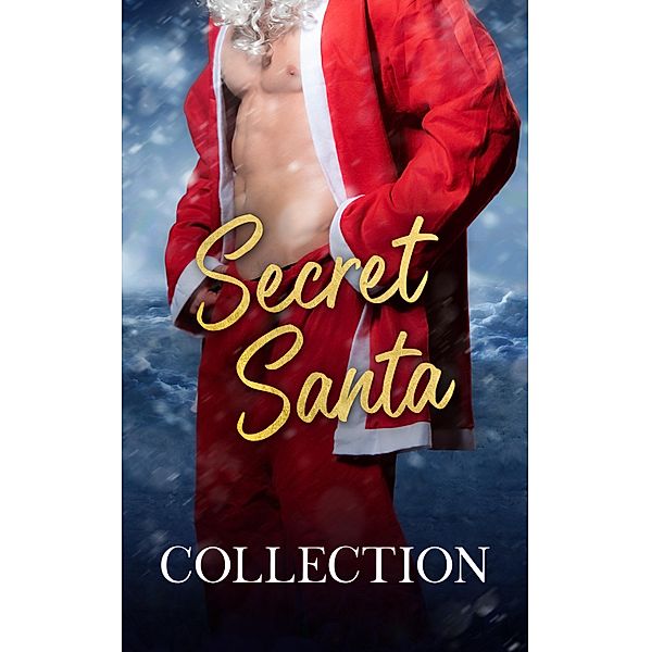 Secret Santa, M. C. Roth, S. J. Coles, Lily Michaels