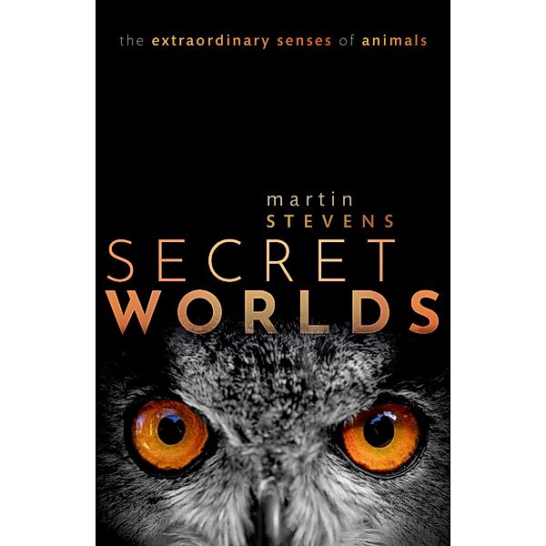 Secret Worlds, Martin Stevens