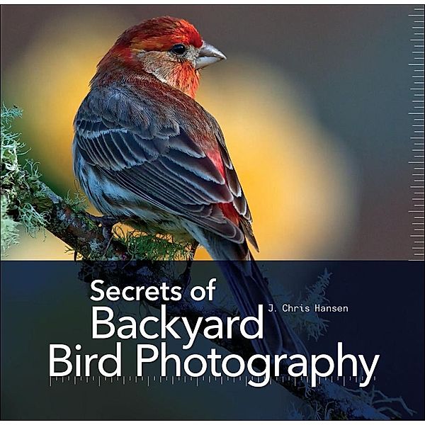 Secrets of Backyard Bird Photography, J. Chris Hansen