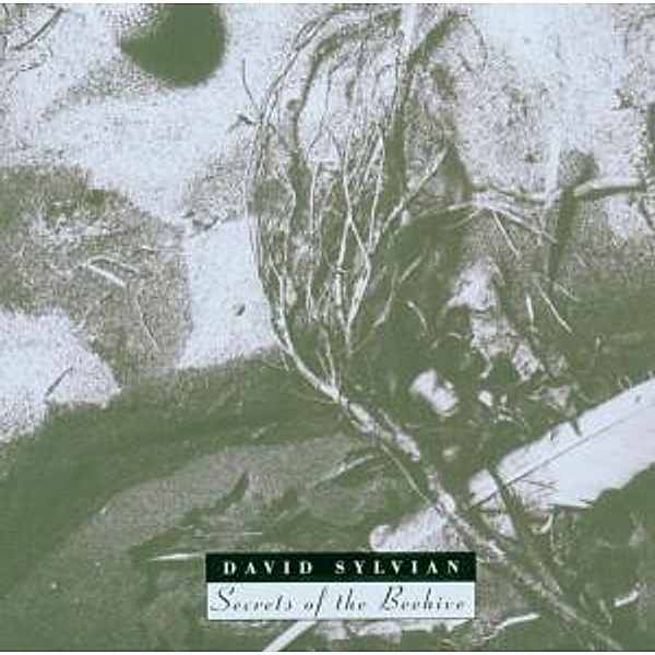 Secrets Of The Beehive (Remastered), David Sylvian