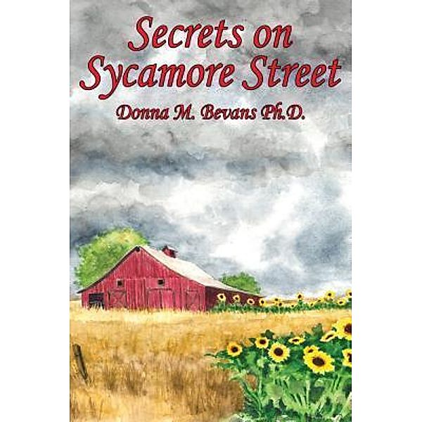 Secrets on Sycamore Street / TOPLINK PUBLISHING, LLC, Donna M. Bevans Ph. D.