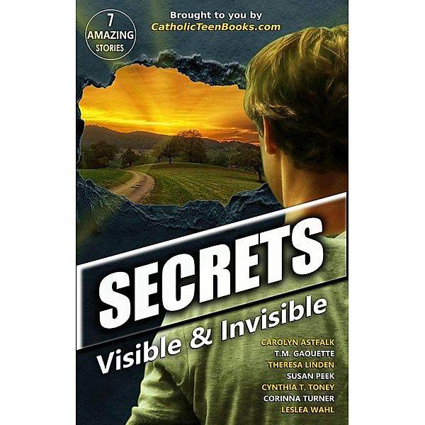 Secrets: Visible & Invisible (Visible & Invisible Series) / Visible & Invisible Series, Corinna Turner, Cynthia T. Toney, Theresa Linden, Susan Peek, T. M. Gaouette, Carolyn Astfalk, Leslea Wahl