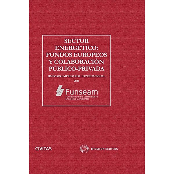 Sector energético: fondos europeos y colaboración público-privada / Economía - Serie Especial, José Luis García Delgado