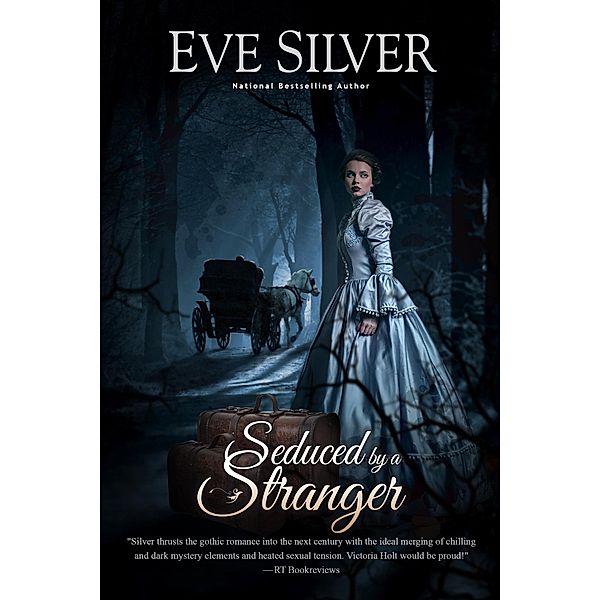 Seduced by a Stranger (Dark Gothic, #5) / Dark Gothic, Eve Silver