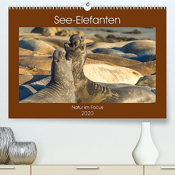 See-Elefanten (Premium-Kalender 2020 DIN A2 quer), Sidney Smith