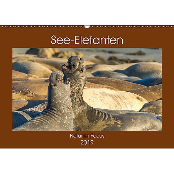 See-Elefanten (Wandkalender 2019 DIN A2 quer), Sidney Smith