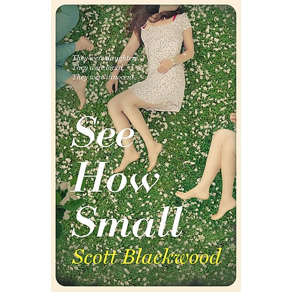 See How Small, Scott Blackwood