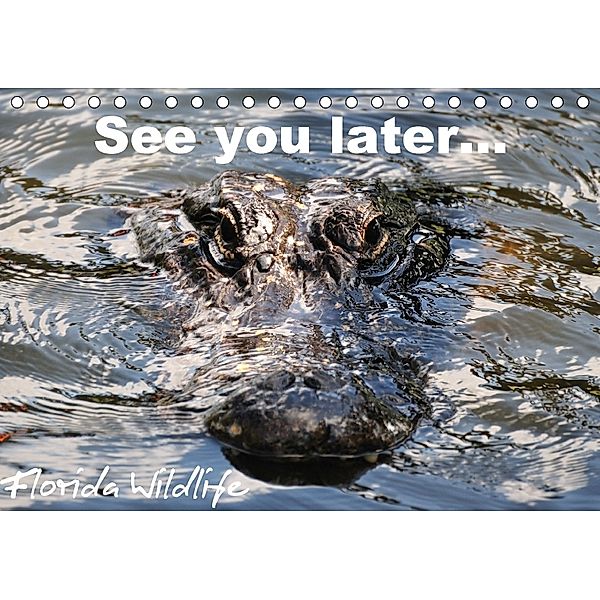 See you later ... Florida Wildlife (Tischkalender 2018 DIN A5 quer), Uwe Bade