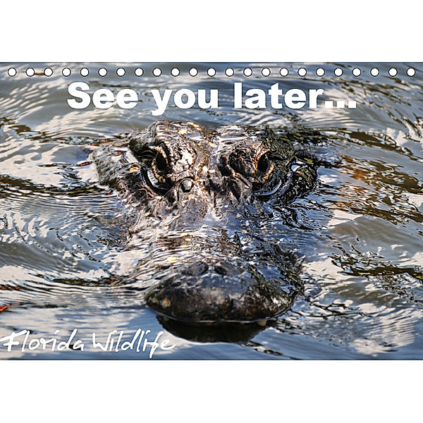 See you later ... Florida Wildlife (Tischkalender 2019 DIN A5 quer), Uwe Bade