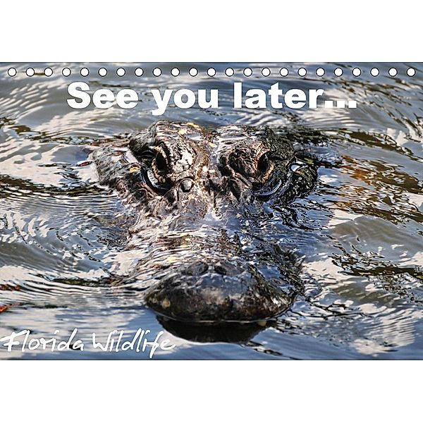 See you later ... Florida Wildlife (Tischkalender 2020 DIN A5 quer), Uwe Bade