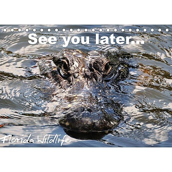 See you later ... Florida Wildlife (Tischkalender 2023 DIN A5 quer), Uwe Bade