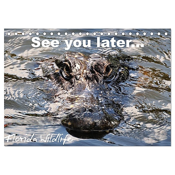 See you later ... Florida Wildlife (Tischkalender 2024 DIN A5 quer), CALVENDO Monatskalender, Uwe Bade