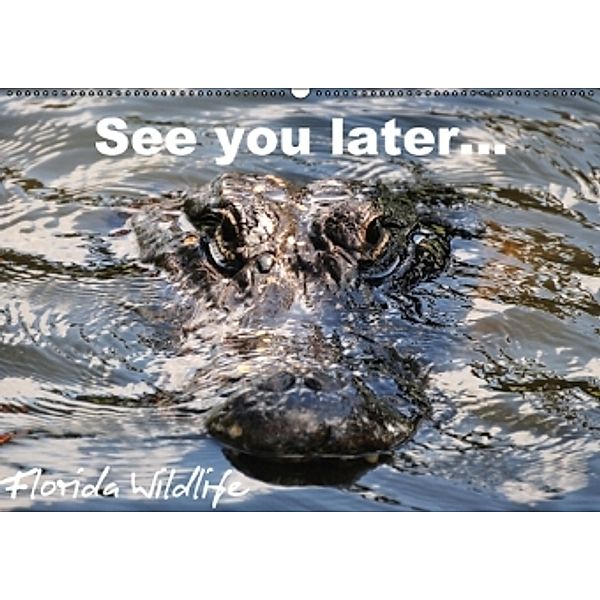 See you later ... Florida Wildlife (Wandkalender 2015 DIN A2 quer), Uwe Bade