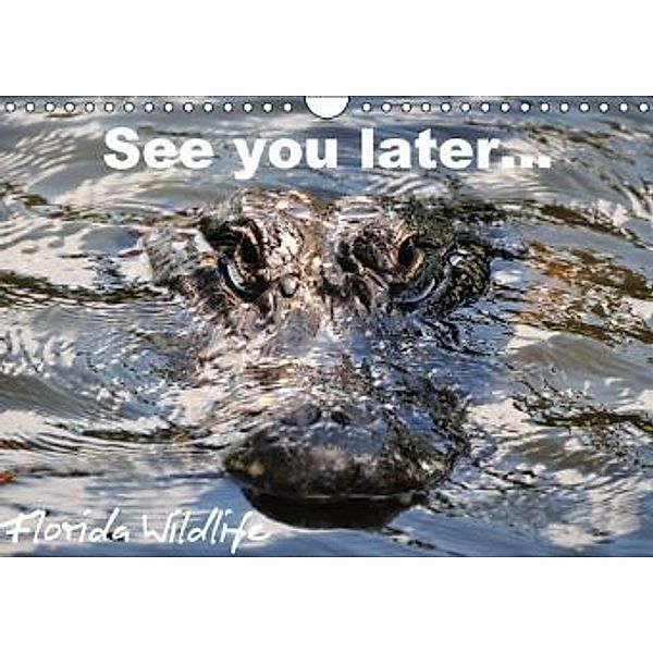 See you later ... Florida Wildlife (Wandkalender 2016 DIN A4 quer), Uwe Bade