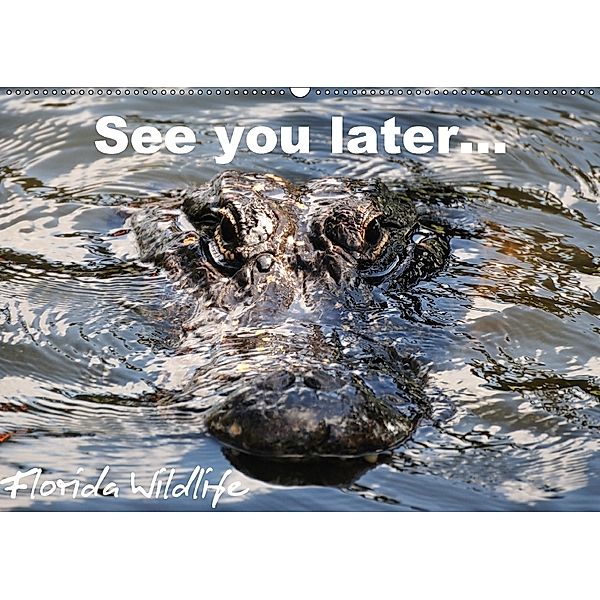 See you later ... Florida Wildlife (Wandkalender 2018 DIN A2 quer), Uwe Bade